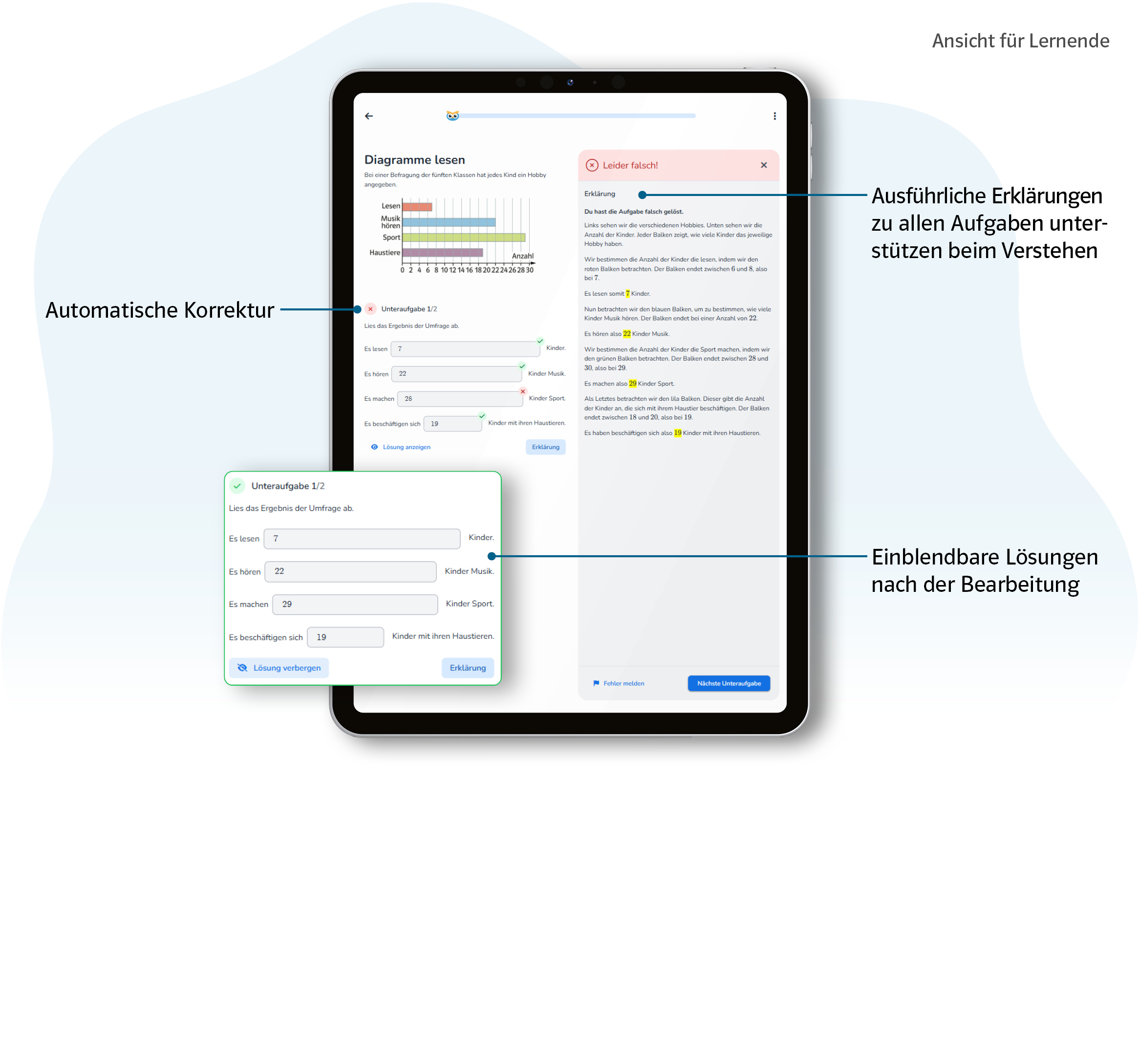 Vorschaubild eines Tablets mit Produktabbildung Studyly Hinweise und Lösungeswege