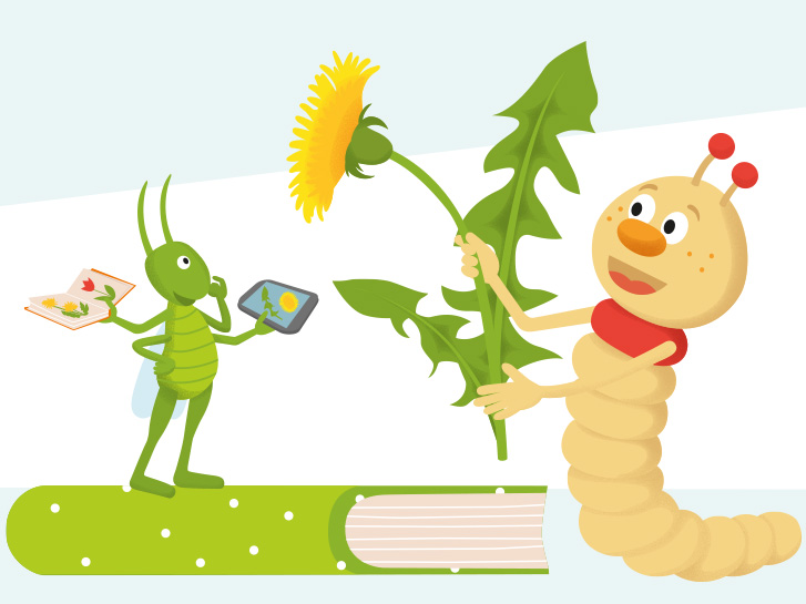 Illustration Bücherwurm und Grashüpfer Sonnenblume & Sachbuch