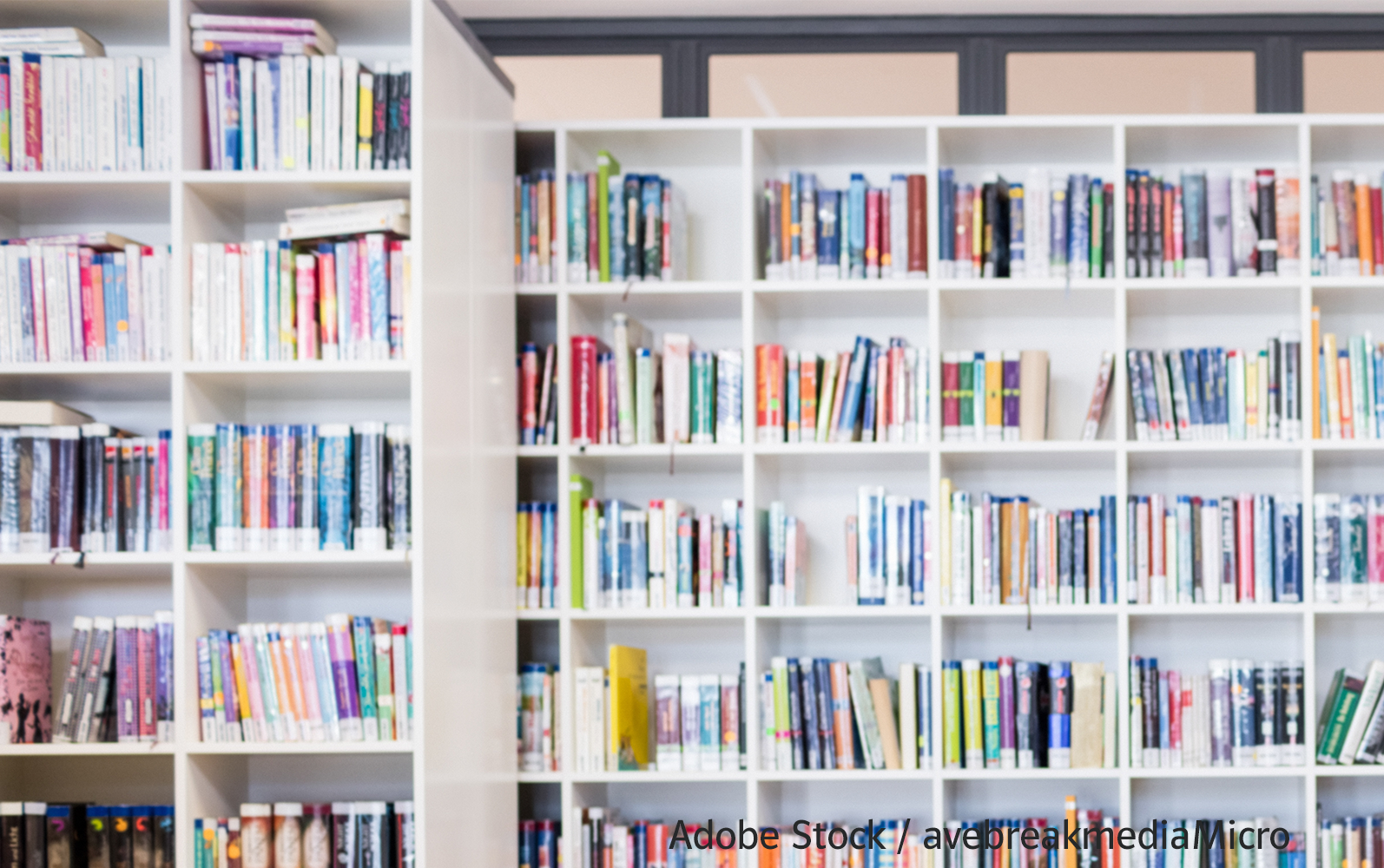 Bibliotheksregale mit ordentlich aufgereihten bunten Büchern in weißen Regalen