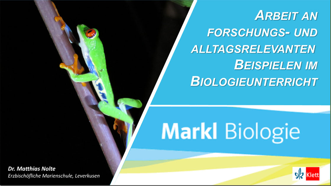 Vorschaubild eines Live-Mitschnitts eines Online-Seminars zu „Arbeit an forschungs- und alltagsrelevanten Beispielen“