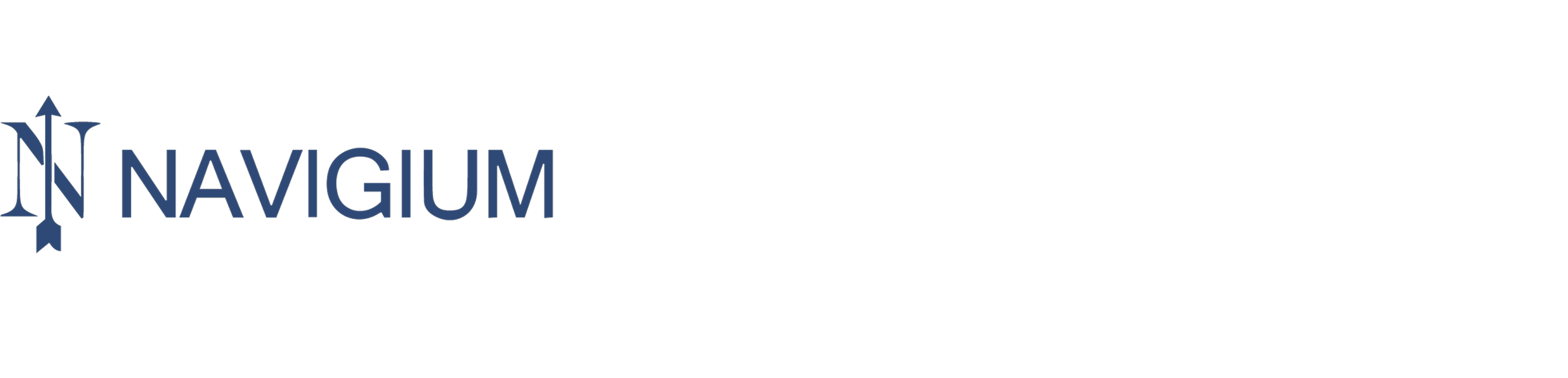 Navigium Logo ohne Claim