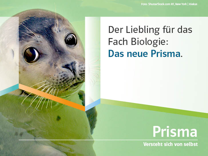 Seehund, der einen anblickt mit dem Text: der Liebling für das Fach Biologie. Das neue Prisma.