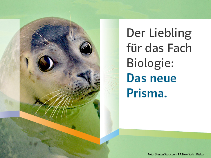 Lieb schauender Seehund mit dem Text: Der Liebling für das Fach Biologie