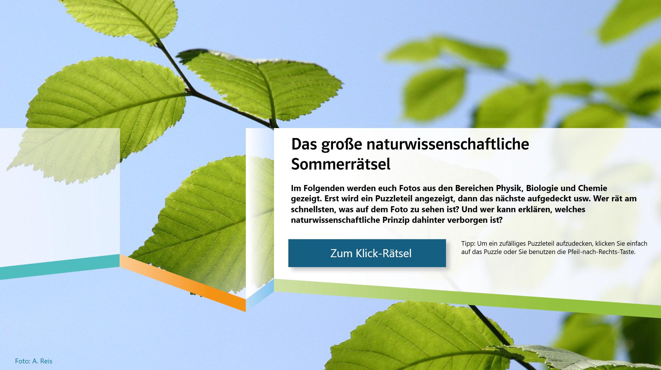 Abbildung von Bucheblätter und dem Hinweis Prisma Sommerrätsel