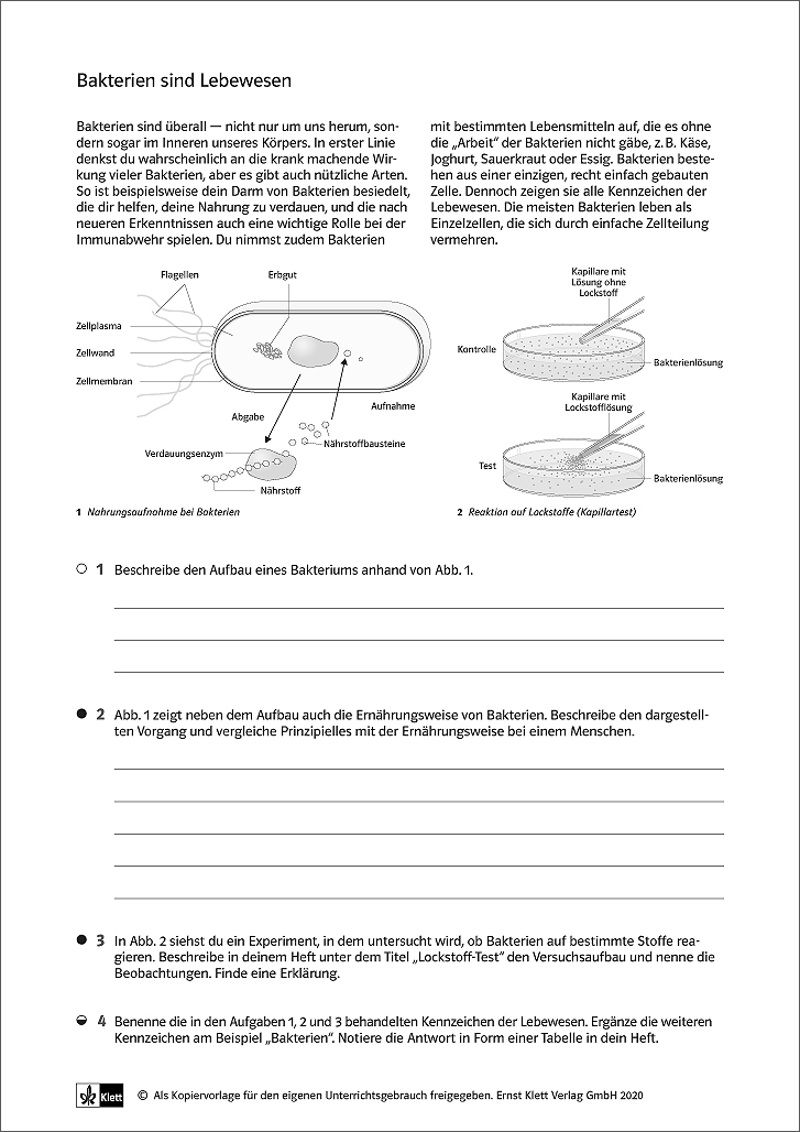 Featured image of post Unterrichtsmaterial Klett Arbeitsbl tter Biologie Kostenlos Finden sie passende arbeitsbl tter aus einer riesigen auswahl von unterrichtsmaterial f r ihren unterricht in der schule oder f r nachhilfe