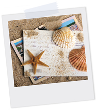 Polaroidfoto zweier Postkarten, die in Sand liegen und auf denen Sand, ein Seestern und zwei Muscheln liegen